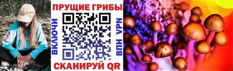 Купить  Спас-Деменск  Галлюциногенные грибы MAGIC MUSHROOMS 